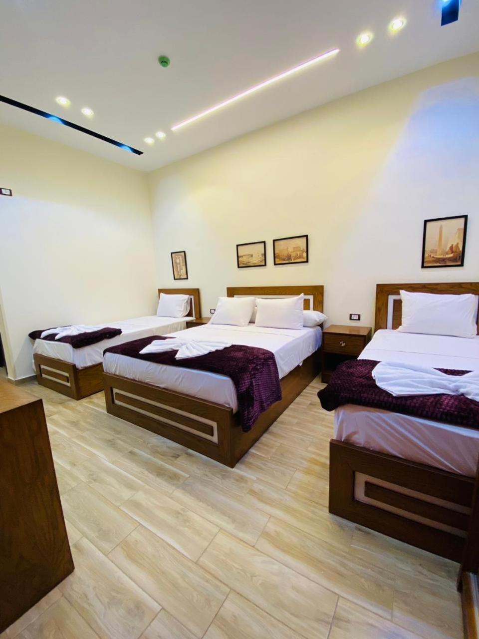 Hola Cairo Boutique酒店 外观 照片